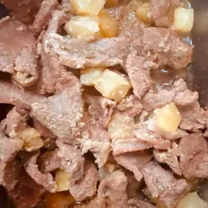 Pork Hamonado with Rice