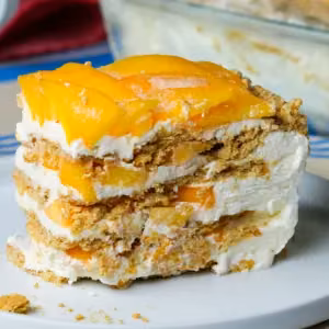 Mango Graham Float